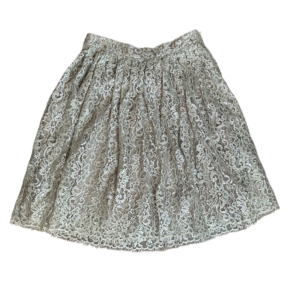 HD In Paris Anthropologie Lace Metallic Skirt Lined size 10